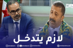 زرواطي: “نطالب وزير الشباب والرياضة بالتدخل لإصلاح وضع الفاف”