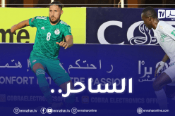 بالفيديو.. بلماضي :”لهذا السبب يُبدع بلايلي مع الخضر”