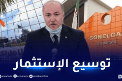 الوزير الأول: الدولة ستتخلى عن أرباح سوناطراك وسونلغاز