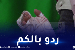 جرحى وحرائق في إحتفالات المولد النبوي