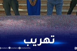 غرداية: الإطاحة بمهرب وحجز أزيد من 5800 قرص مهلوس