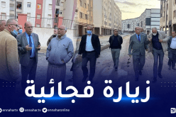 والي بجاية يأمر بالإسراع في إنجاز السكنات بالقطب الحضري بوادي غير لتسليمها
