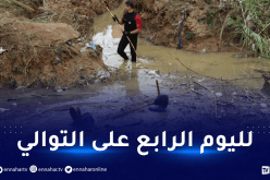 الحماية المدنية تواصل البحث عن الشخص المفقود بوادي سحاولة