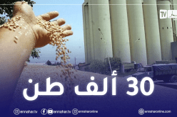 روسيا ترفع حجم صادرات القمح إلى الجزائر