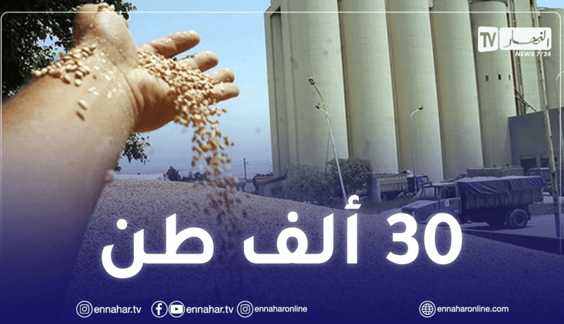 روسيا ترفع حجم صادرات القمح إلى الجزائر