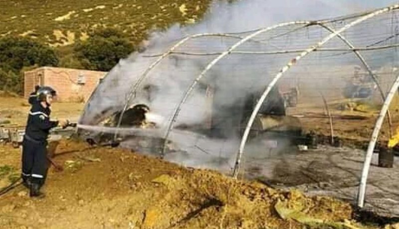 مستغانم: نفوق3000 كتكوت في حريق بمستودع لتربية الدواجن بدوار الشراقة