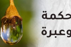 شيء من الحكمة….