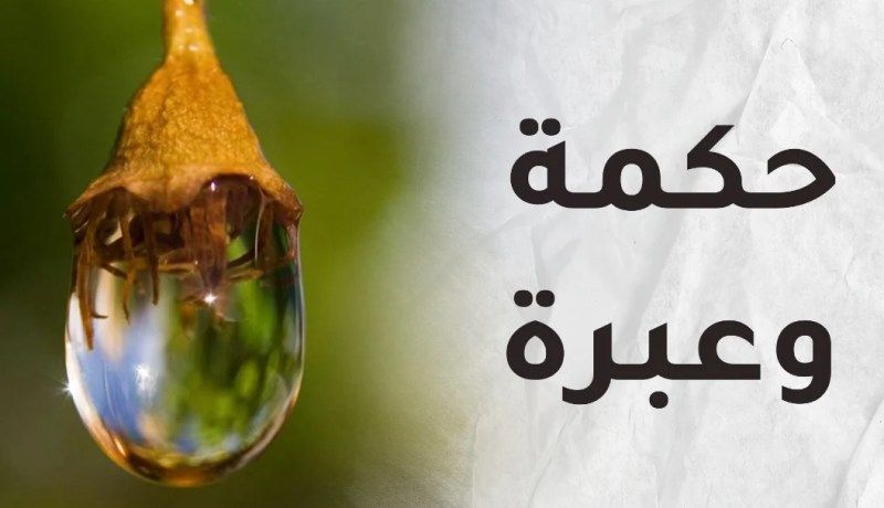 شيء من الحكمة….