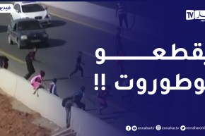 خطـ.ـر المـ.ـوت يترصد بهم .. تلاميذ يقطعون الطريق السيار للوصول إلى مدارسهم