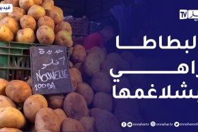 الأسعار ترتفع وأنظمة التخزين تفشل..البطاطا تهزم وزارة الفلاحة!