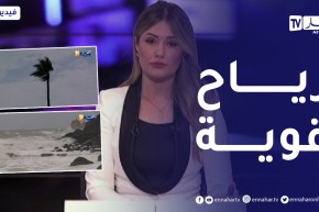 تنبيه بحري للأرصاد الجوية يحذر من هبوب رياح قوية بهذه السواحل