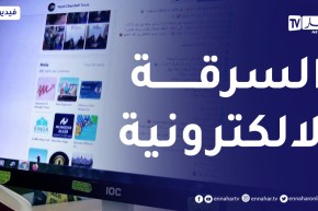 التسوق الإلكتروني..صفحات وهمية توقع ضـحاياها وعقوبات لردع المتورطين