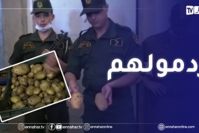 عين الدفلى: مداهمة قوات الدرك الوطني لأحد مخازن البطاطا ببلدية عين السلطان