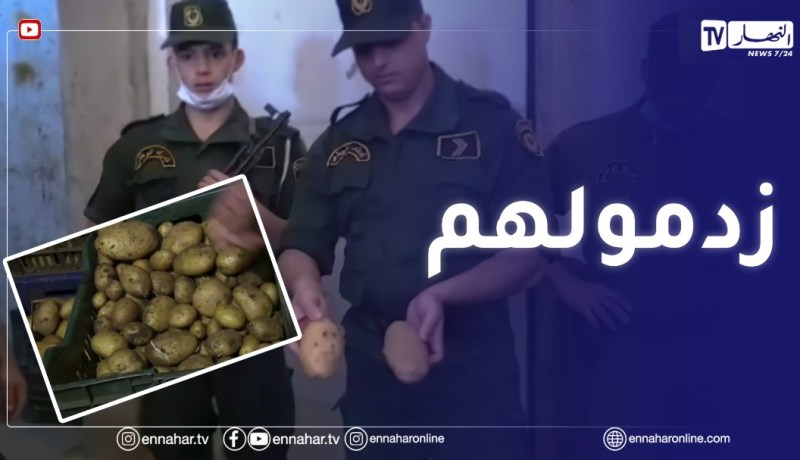 عين الدفلى: مداهمة قوات الدرك الوطني لأحد مخازن البطاطا ببلدية عين السلطان