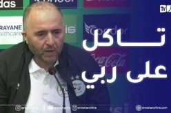 بلماضي : الحملة ضدي بدأت حتى قبل مباراة جيبوتي لكن ما يهمني هو تركيزي على عملي