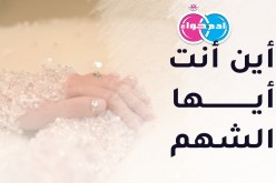 ابنة شلف تجعل حياتك روضة فيها تنعم وتستريح