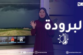 أحوال الطقس / هواء بارد ودرجات حرارة منخفضة .. التفاصيل