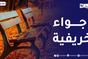 طقس بارد يميز أغلب ولايات الوطن..التفاصيل