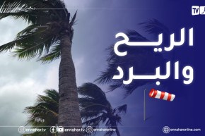 تراجع في درجات الحرارة على المناطق الداخلية..ورياح قوية على السواحل الغربية