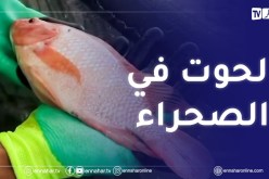 خنشلة : إنتاج وتسويق سمك البلطي الأحمر لأول مرة بصحراء النمامشة