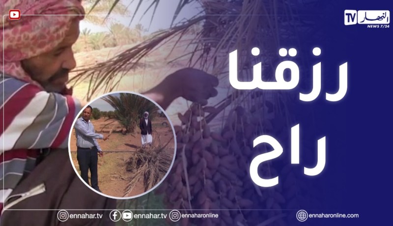 الجلفة : واحات النخيل في قطارة..مخاوف من إندثار ثروة إقتصادية بالمنطقة