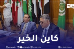 بلعريبي: تشييد مليون سكن إلى غاية سنة 2024