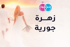 هل شهم أمين يحظى بالسعادة إلى جانب عروس فوق العادة 