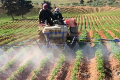 وزير التعليم العالي: فتح مدارس لتكوين اليد العاملة في القطاع الفلاحي