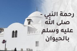 ” لَّقَد كَانَ لَكُمْ فِي رَسُولِ اللَّهِ أُسْوَةٌ حَسَنَةٌ “