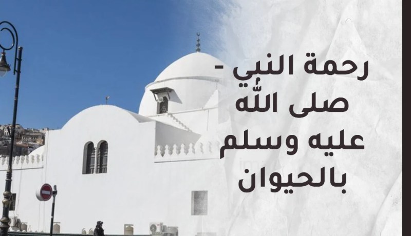 ” لَّقَد كَانَ لَكُمْ فِي رَسُولِ اللَّهِ أُسْوَةٌ حَسَنَةٌ “