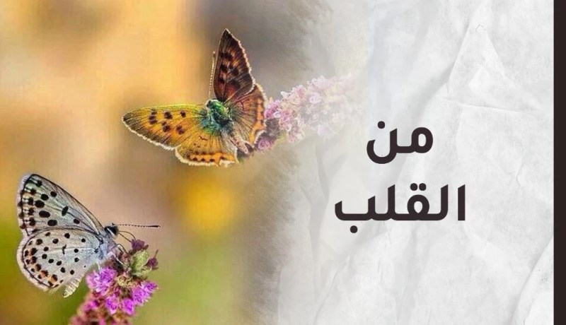 نبض القوافي.