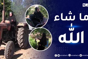 الطارف: الحاجة نوارة.. قصة فلاحة تخدم الأرض و”تسوق التراكتور”