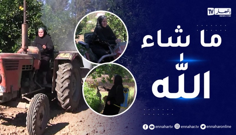 الطارف: الحاجة نوارة.. قصة فلاحة تخدم الأرض و”تسوق التراكتور”