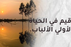  قيم في الحياة لأولي الألباب.