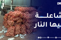 أسعار البطاطا تتخطى عتبة 100 دج بأسواق الجملة