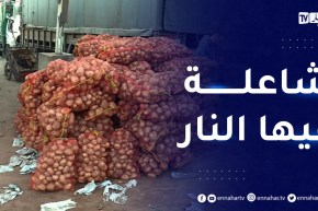 أسعار البطاطا تتخطى عتبة 100 دج بأسواق الجملة