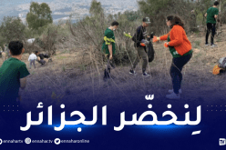 “must” و”kenzo” تدعمان جمعية “سيدرا” لتشجير الجزائر