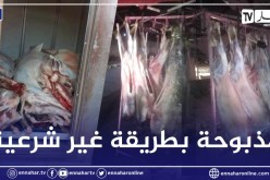 الأغواط : إحباط تسويق 16 ذبيحة من اللحوم الحمراء غير خاضعة للرقابة البيطرية