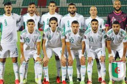 المنتخب الوطني يخوض تربصه المقبل بالقاهرة تحسبا لمواجهة جيبوتي