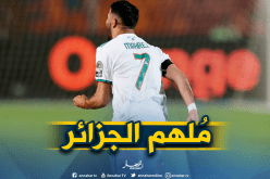 بالفيديو.. محرز يُوقع مُخالفة عالمية أمام النيجر