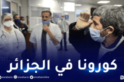 وزارة الصحة: 28 ولاية لم تسجل بها أي حالة جديدة بكورونا