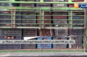 بشار: حجز 448 قنطار من البطاطا وتوجيهها للبيع المباشر للمواطن بسعر 50 دج