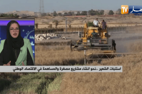 استنبات الشعير..نحو إنشاء مشاريع مصغرة والمساهمة في الإقتصاد الوطني