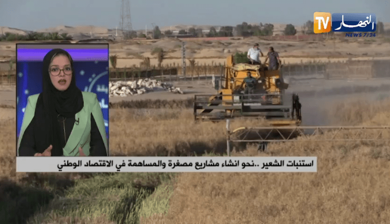 استنبات الشعير..نحو إنشاء مشاريع مصغرة والمساهمة في الإقتصاد الوطني