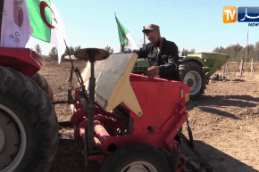 صريح جدا: غليزان.. فلاحون يتطلعون لموسم فلاحي أفضل رغم الصعوبات