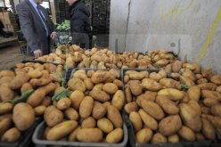 لوحايدية: حجز 116 ألف قنطار من البطاطا موجهة للمضاربة