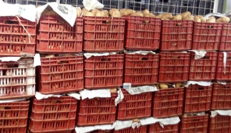 سيدي بلعباس: حجز 1140 كلغ من البطاطا مخزّنة بمستودع