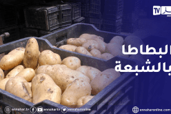 البطاطا.. تموين الأسواق الوطنية إلى نهاية نوفمبر