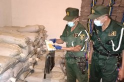 تيارت: الدرك يكشف ورشة لتصنيع الشمة المقلدة ويوقف 14 شخصا