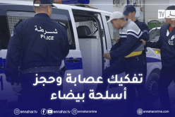 العاصمة: عصابة أحياء في قبضة أمن باب الوادي